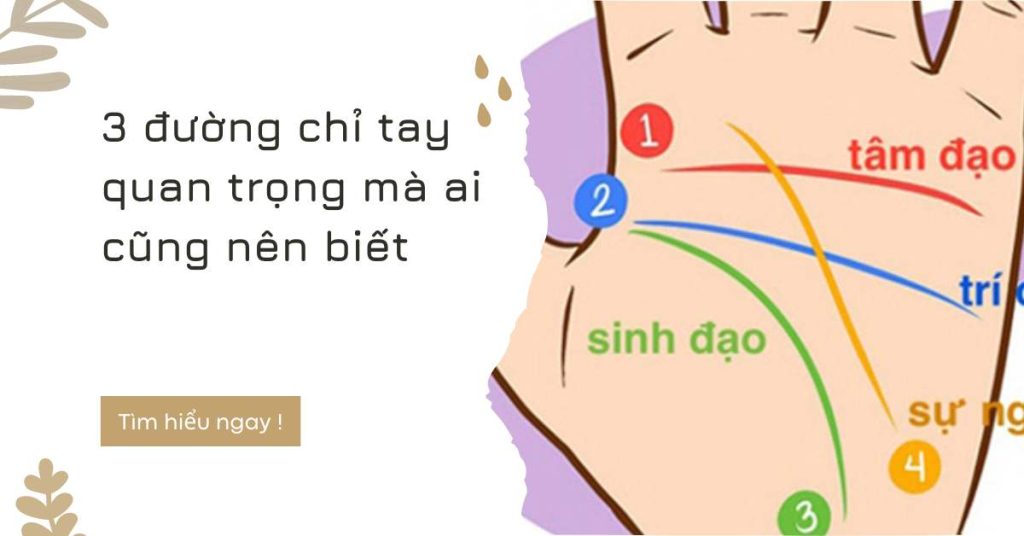 3 đường chỉ tay quan trọng mà ai cũng nên biết