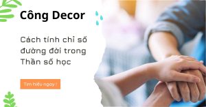 Cách tính chỉ số đường đời trong Thần số học