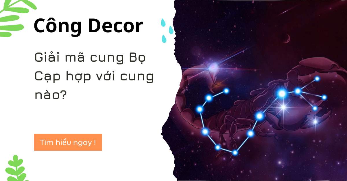 Giải mã cung Bọ Cạp hợp với cung nào