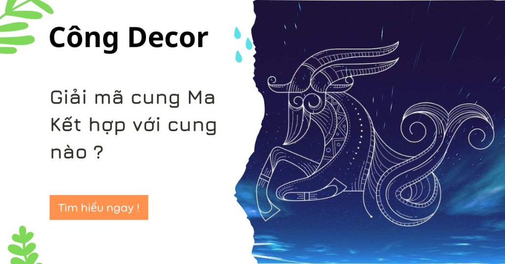 Giải mã cung Ma Kết hợp với cung nào