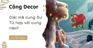 Giải mã cung Sư Tử hợp với cung nào?