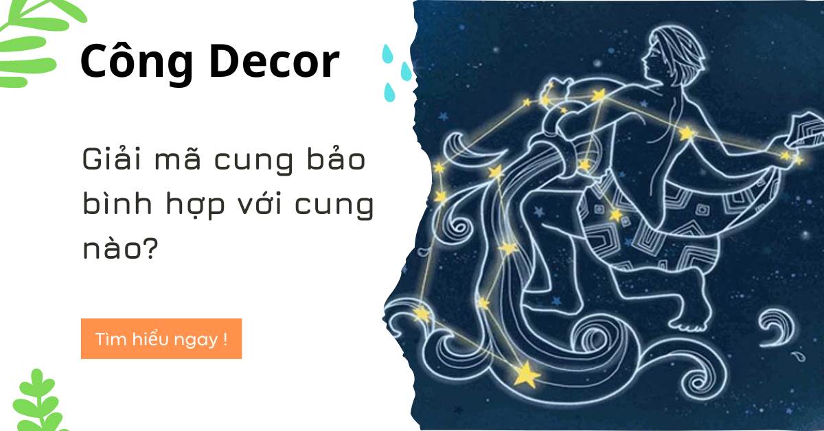 Giải mã cung bảo bình hợp với cung nào?