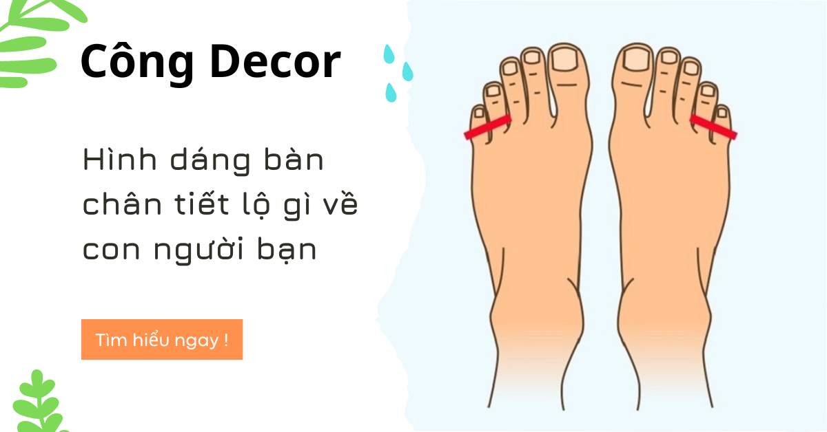 Hình dáng bàn chân tiết lộ gì về con người bạn