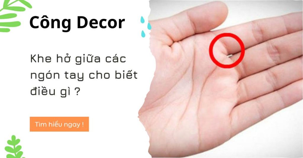 Khe hở giữa các ngón tay cho biết điều gì?