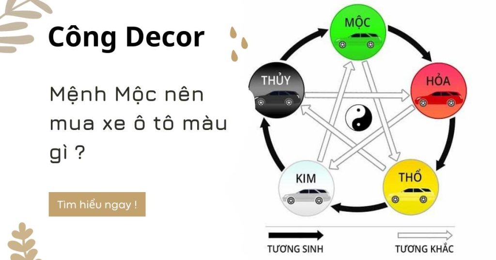 Mệnh Mộc nên mua xe ô tô màu gì