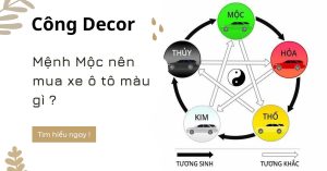 Mệnh Mộc nên mua xe ô tô màu gì