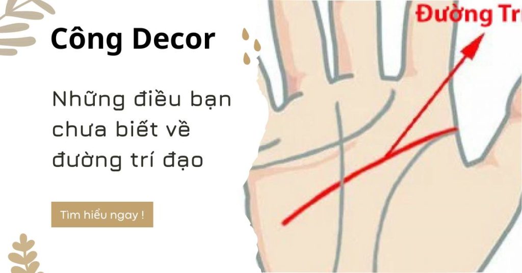 Những điều bạn chưa biết về đường trí đạo