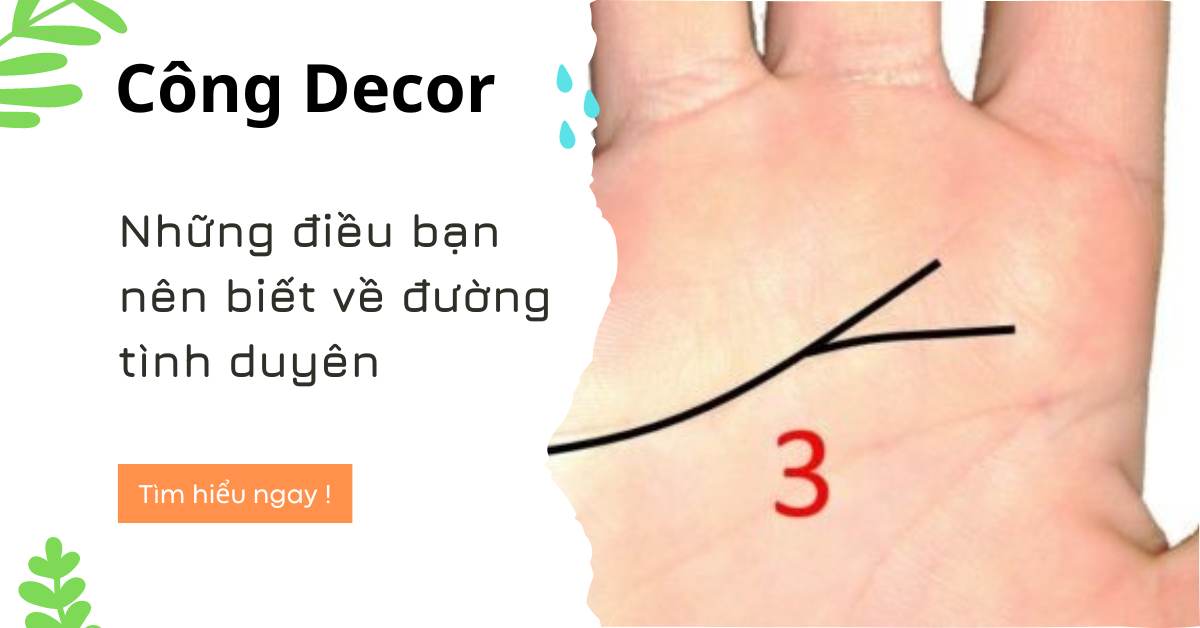 Những điều bạn nên biết về đường tình duyên