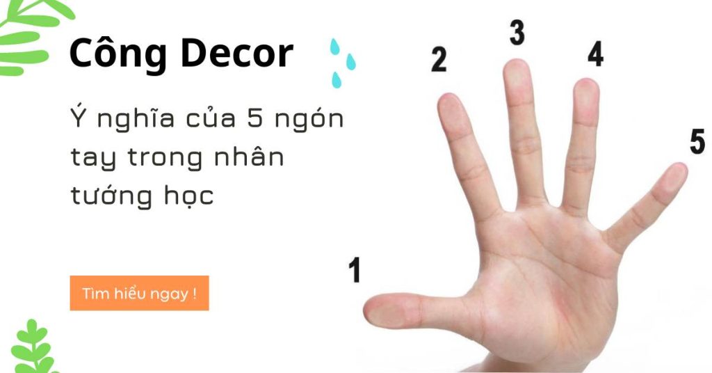 Ý nghĩa của 5 ngón tay trong nhân tướng học