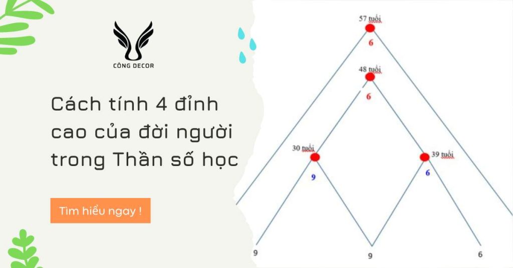 Cách tính 4 đỉnh cao của đời người trong Thần số học