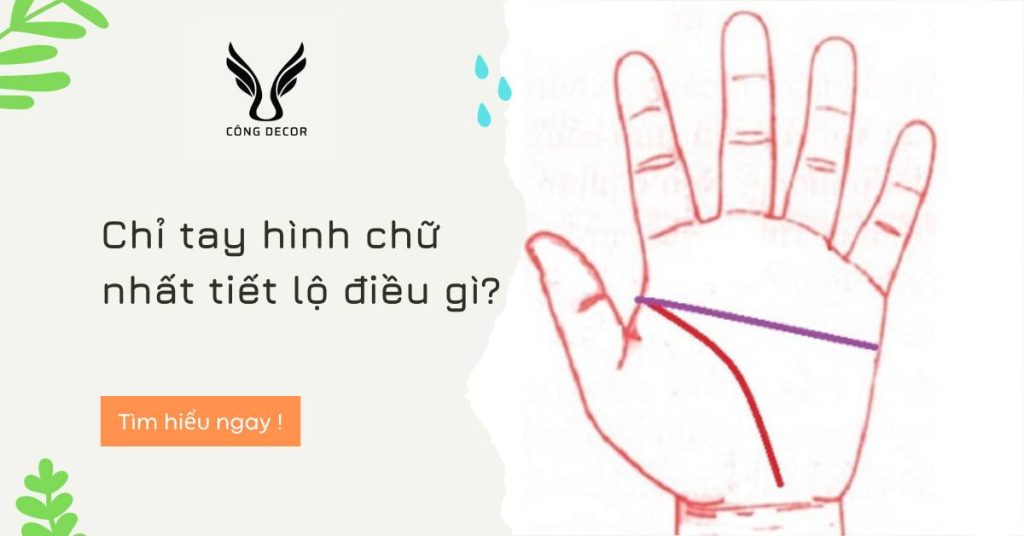 Chỉ tay hình chữ nhất tiết lộ điều gì