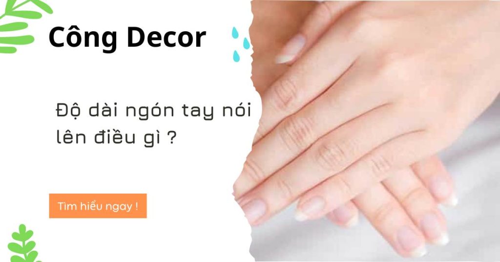 Độ dài ngón tay nói lên điều gì ?