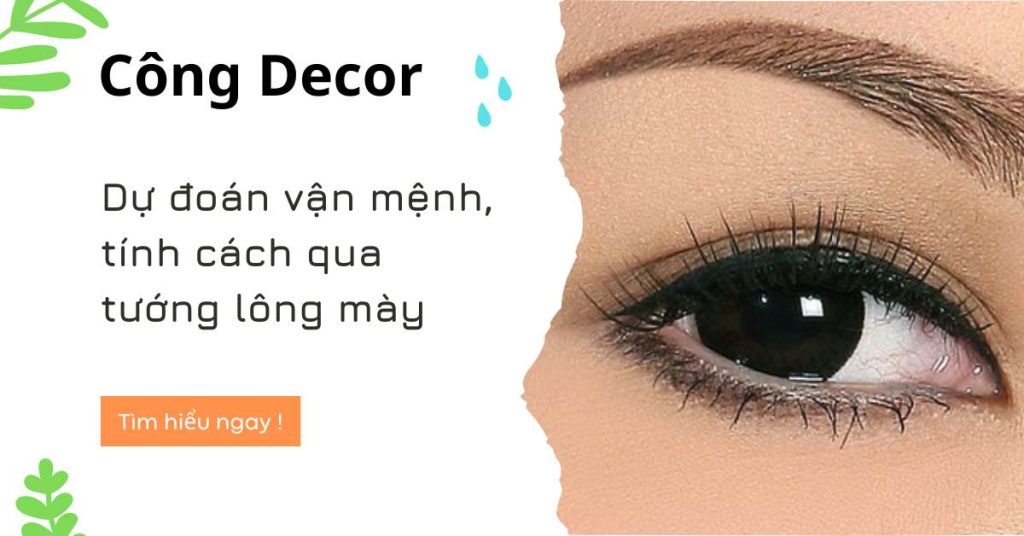 Dự đoán vận mệnh, tính cách qua tướng lông mày