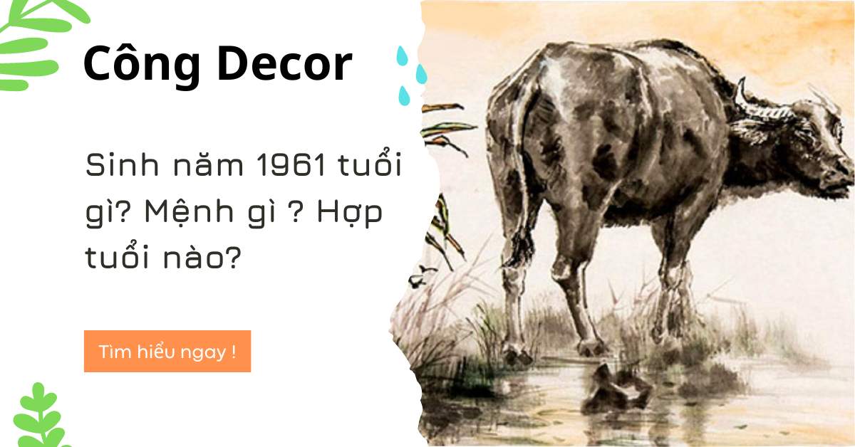 Sinh năm 1961 tuổi gì? Mệnh gì ? Hợp tuổi nào?