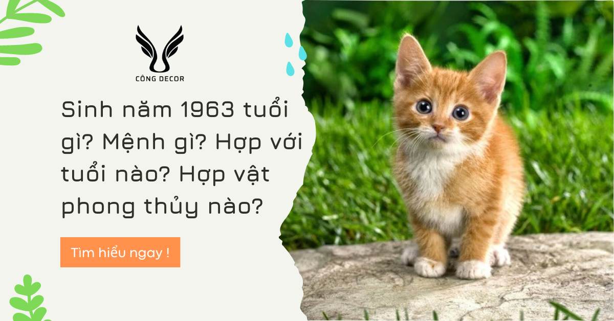 Sinh năm 1963 tuổi gì? Mệnh gì? Hợp với tuổi nào? Hợp vật phong thủy nào?