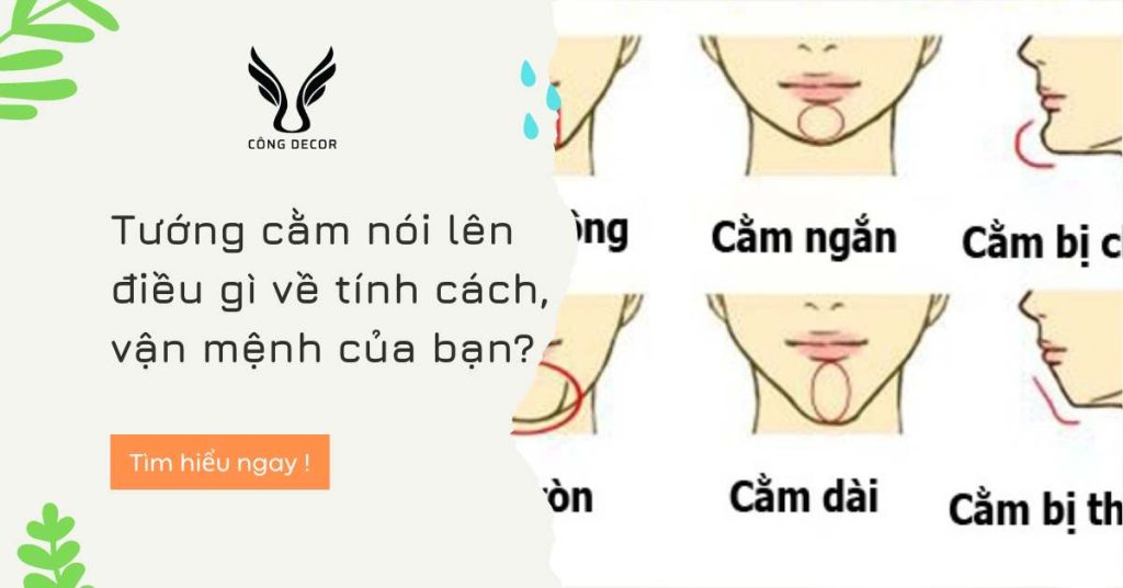 Tướng cằm nói lên điều gì về tính cách, vận mệnh của bạn?