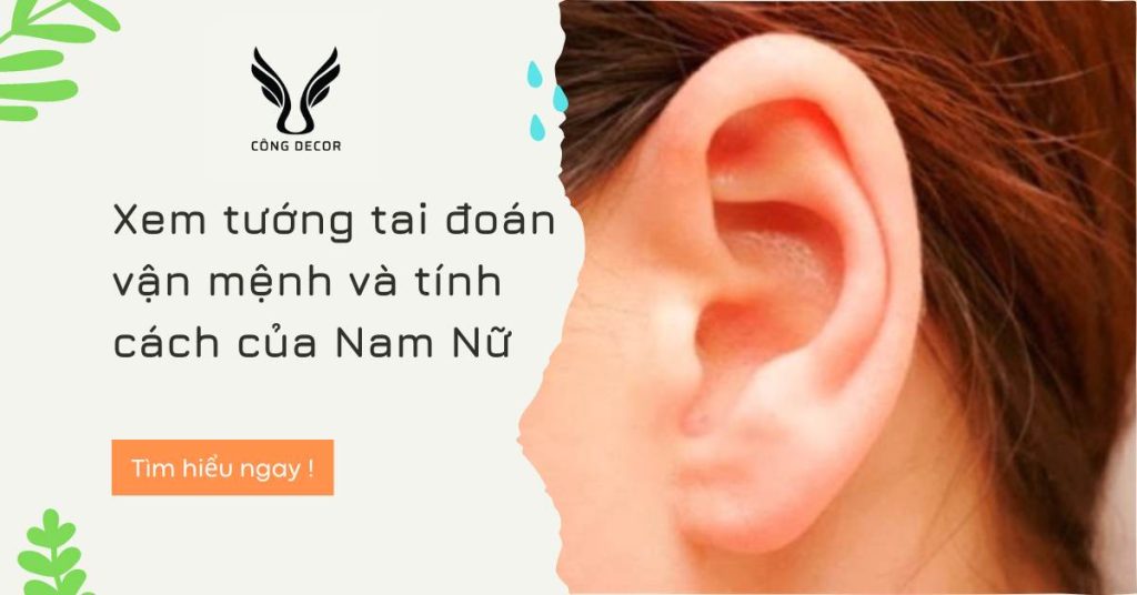 Xem tướng tai đoán vận mệnh và tính cách của Nam Nữ