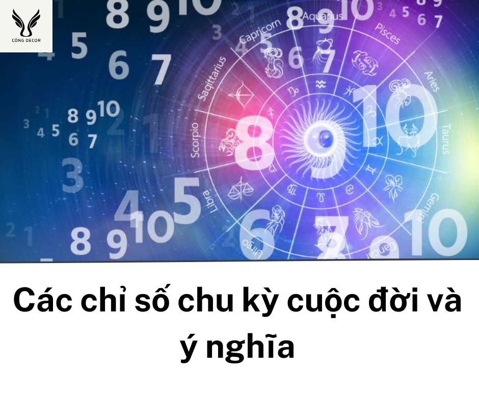 Các chỉ số chu kỳ cuộc đời và ý nghĩa