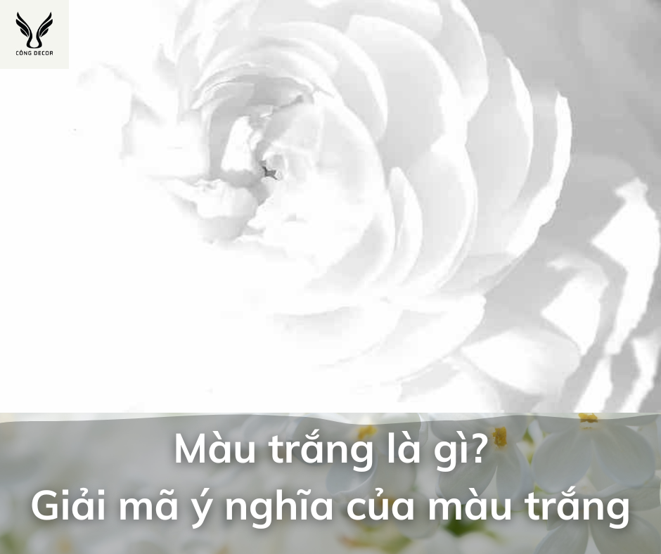 Màu trắng là gì?