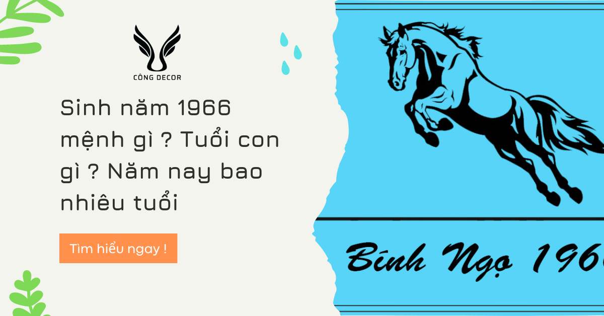 Sinh năm 1966 mệnh gì ? Tuổi con gì ? Năm nay bao nhiêu tuổi