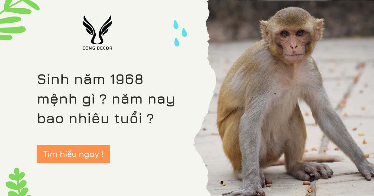 Sinh năm 1968 mệnh gì ? năm nay bao nhiêu tuổi ?