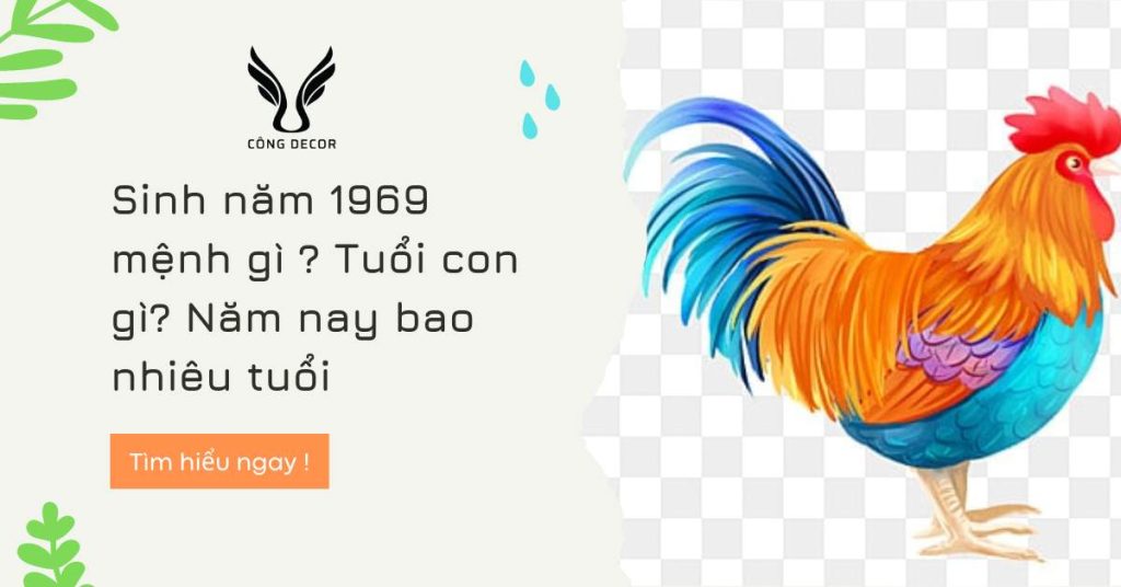 Sinh năm 1969 mệnh gì ? Tuổi con gì? Năm nay bao nhiêu tuổi