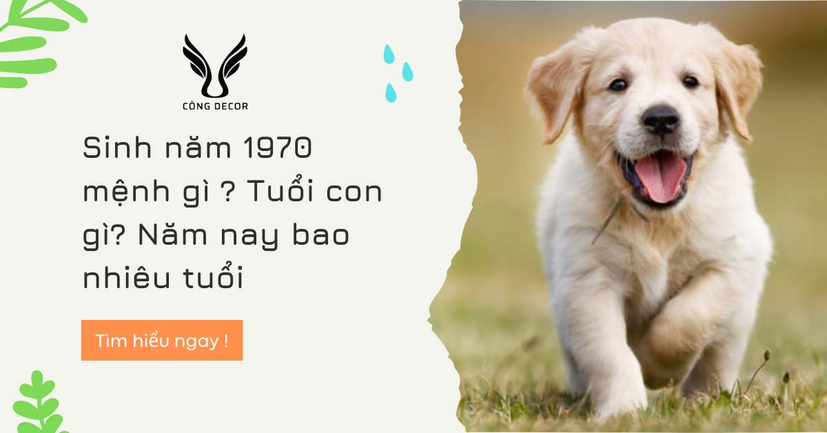 Sinh năm 1970 mệnh gì ? Tuổi con gì? Năm nay bao nhiêu tuổi