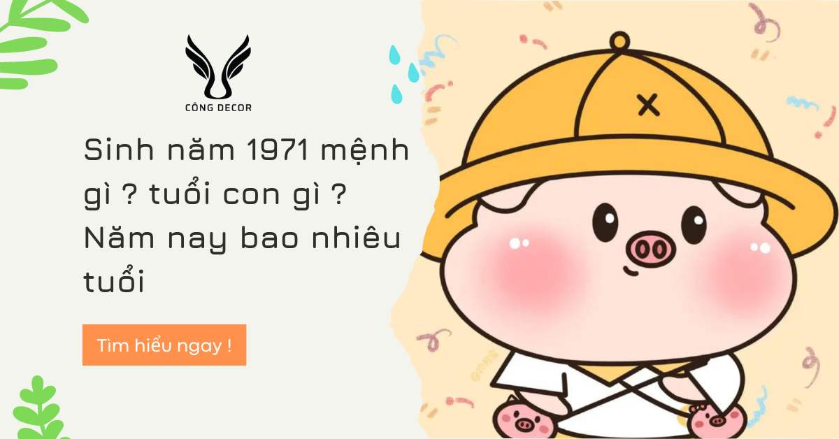 Sinh năm 1971 mệnh gì ? tuổi con gì ? Năm nay bao nhiêu tuổi