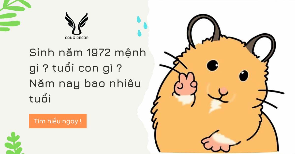 Sinh năm 1972 mệnh gì ? tuổi con gì ? Năm nay bao nhiêu tuổi