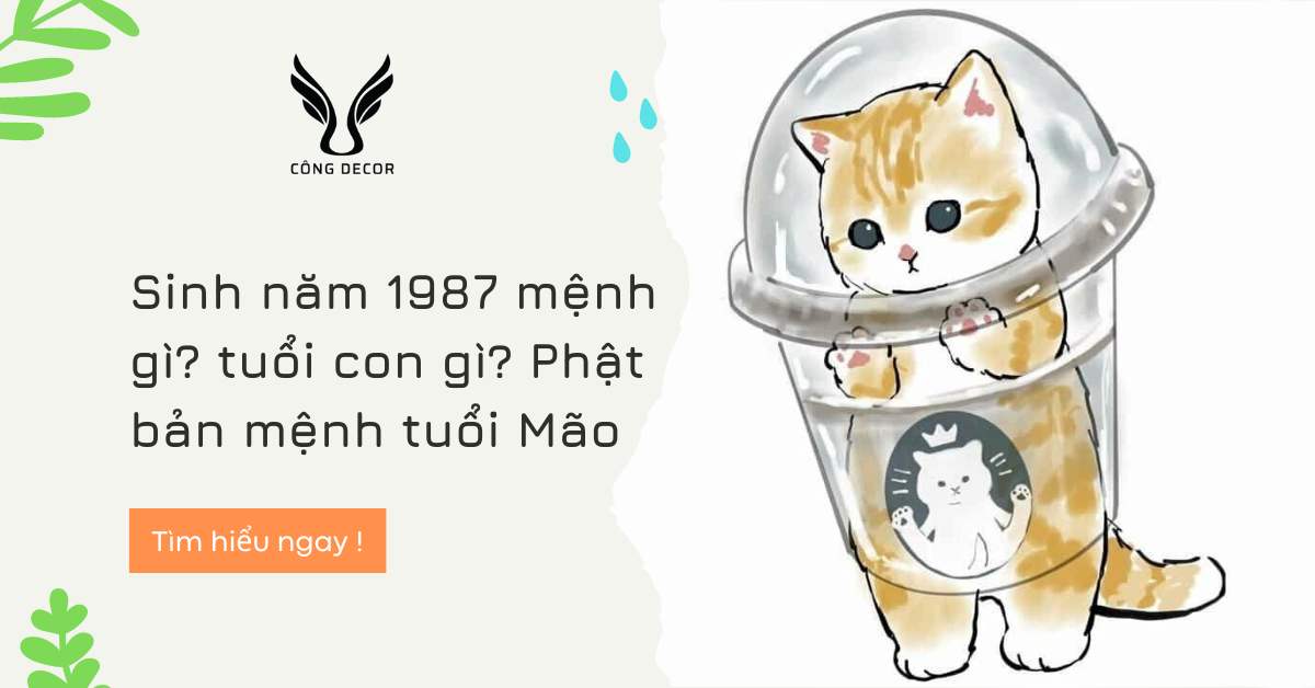 Sinh năm 1987 mệnh gì? tuổi con gì? năm nay bao nhiêu tuổi 2023