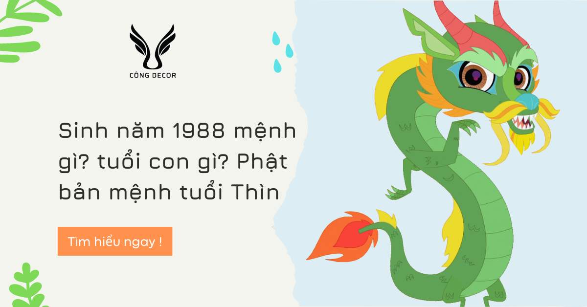 Sinh năm 1988 mệnh gì tuổi con gì Phật bản mệnh tuổi Thìn