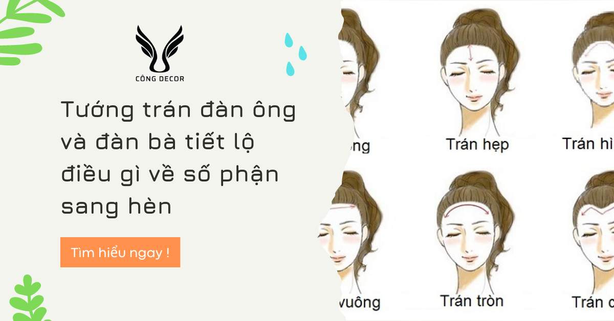 Tướng trán đàn ông và đàn bà tiết lộ điều gì về số phận sang hèn