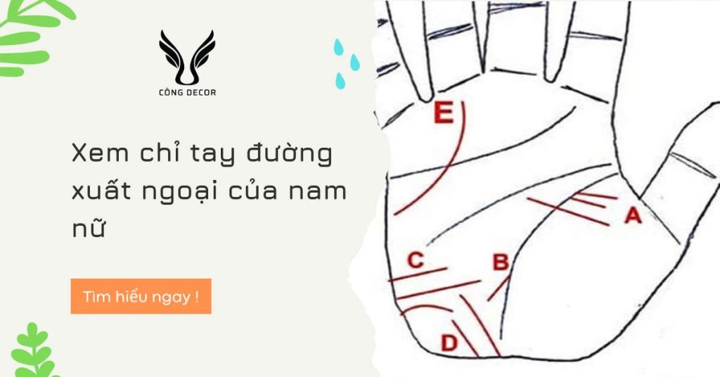 Xem chỉ tay đường xuất ngoại của nam nữ