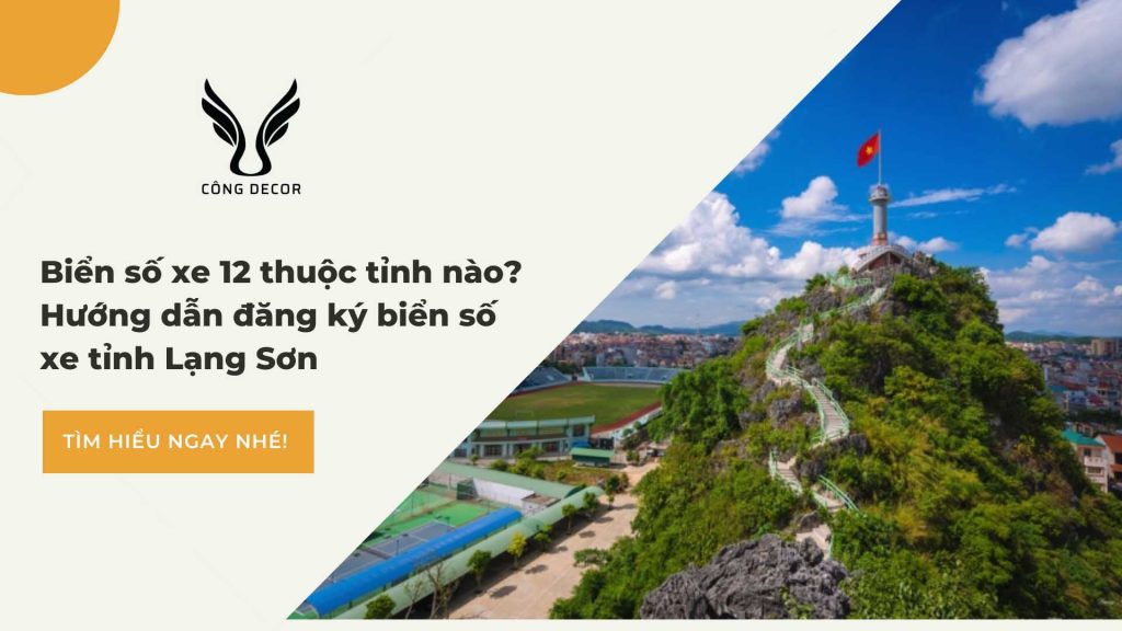 Biển số xe 12 ở đâu? thuộc tỉnh nào? hướng dẫn cách đăng ký biển số xe