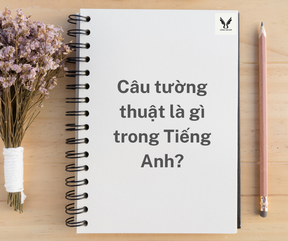 Câu tường thuật là gì? Các loại câu tường thuật trong tiếng Anh?