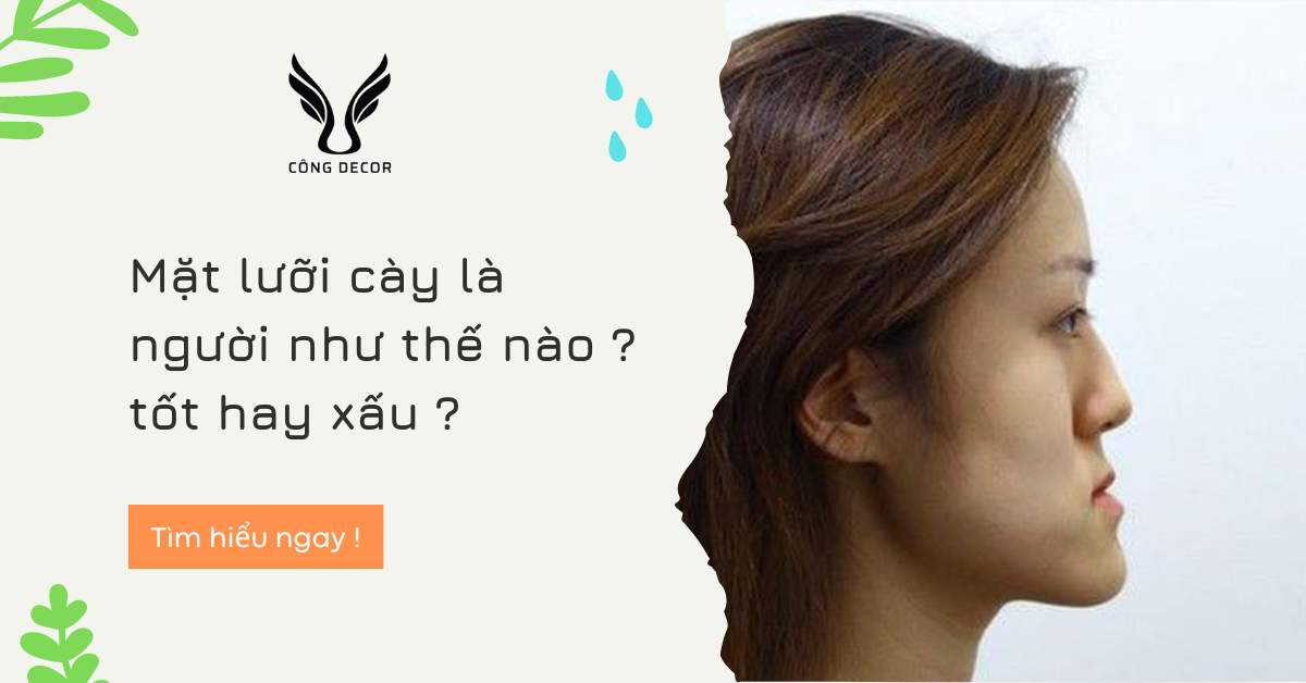 Mặt lưỡi cày là gì? đeo kính gì? những người có khuôn mặt lưỡi cày nên để tóc gì? tính cách và vận mệnh ra sao?