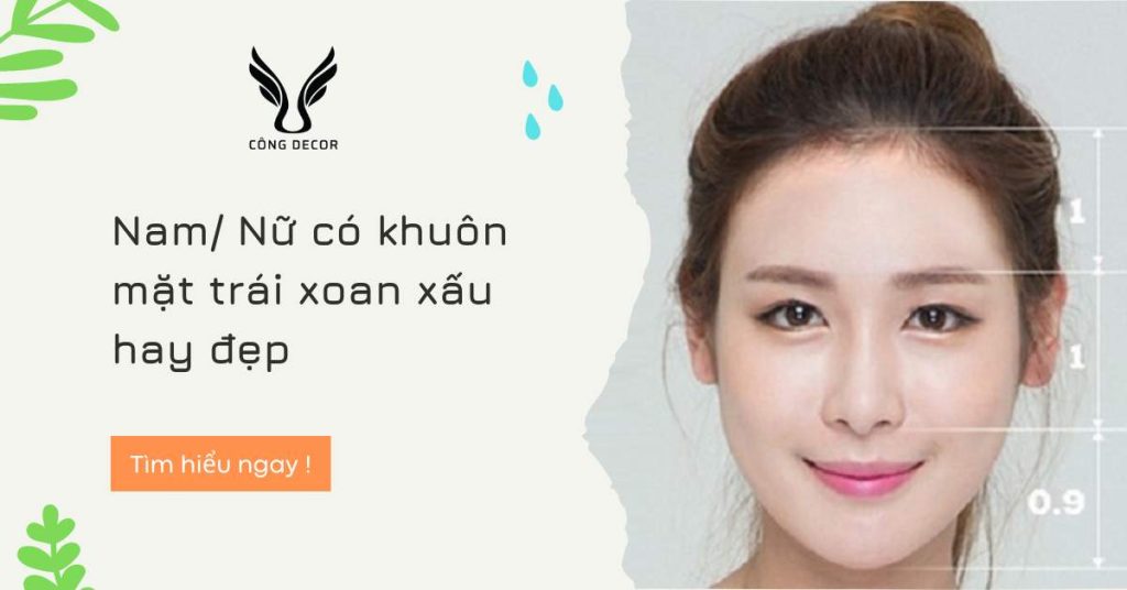 Mặt trái xoan là gì? đeo kính gì? những người có khuôn mặt trái xoan nên để tóc gì? tính cách và vận mệnh ra sao?