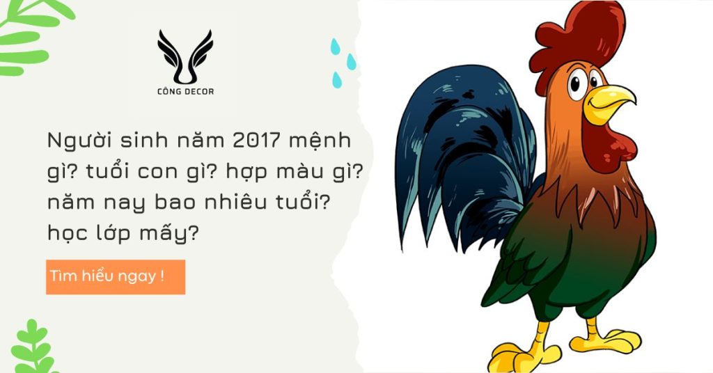 Người sinh năm 2017 mệnh gì? tuổi con gì? hợp màu gì? năm nay bao nhiêu tuổi? học lớp mấy?