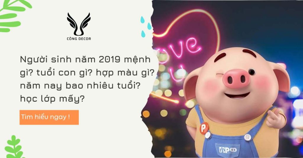 Người sinh năm 2019 mệnh gì? tuổi con gì? hợp màu gì? năm nay bao nhiêu tuổi? học lớp mấy?