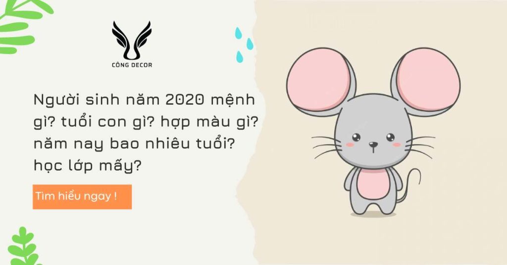 Người sinh năm 2020 mệnh gì? tuổi con gì? hợp màu gì? năm nay bao nhiêu tuổi? học lớp mấy?