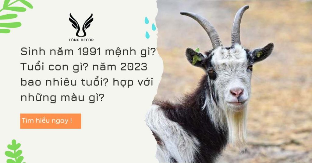 Sinh năm 1991 mệnh gì? Tuổi con gì? năm 2023 bao nhiêu tuổi? hợp với những màu gì?