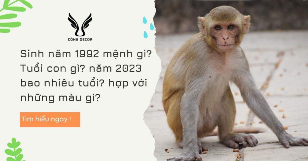 Sinh năm 1992 mệnh gì? Tuổi con gì? năm 2023 bao nhiêu tuổi? hợp với những màu gì?