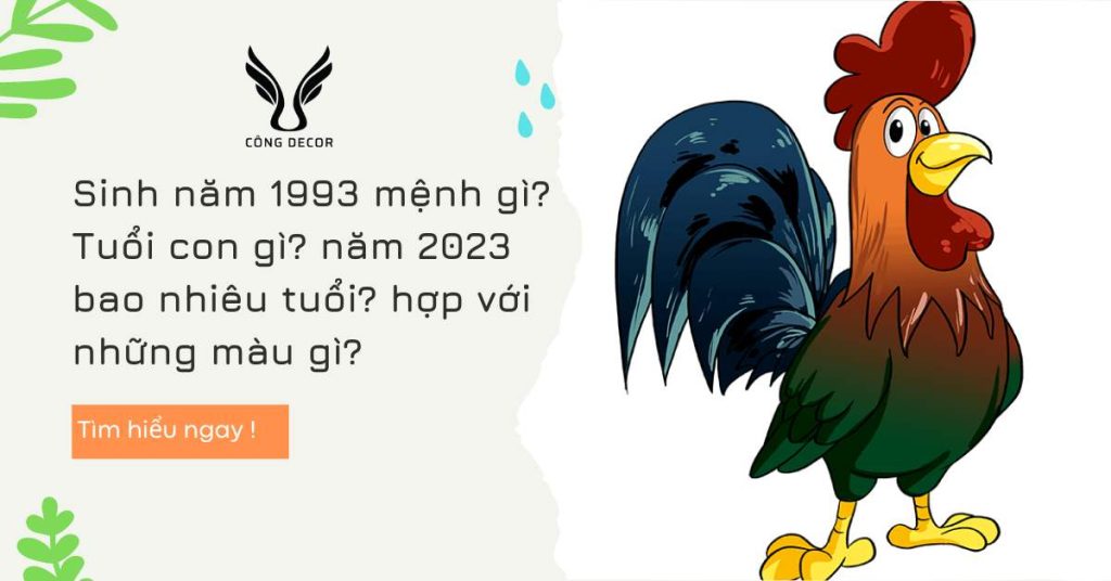 Sinh năm 1993 mệnh gì? Tuổi con gì? năm 2023 bao nhiêu tuổi? hợp với những màu gì?