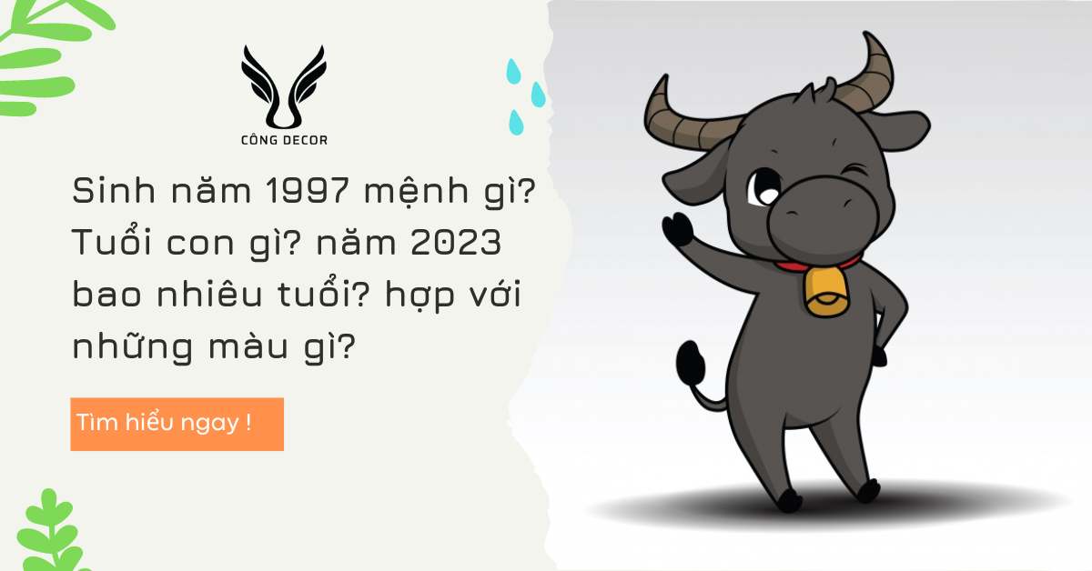 Sinh năm 1997 mệnh gì? Tuổi con gì? năm 2023 bao nhiêu tuổi? hợp với những màu gì?