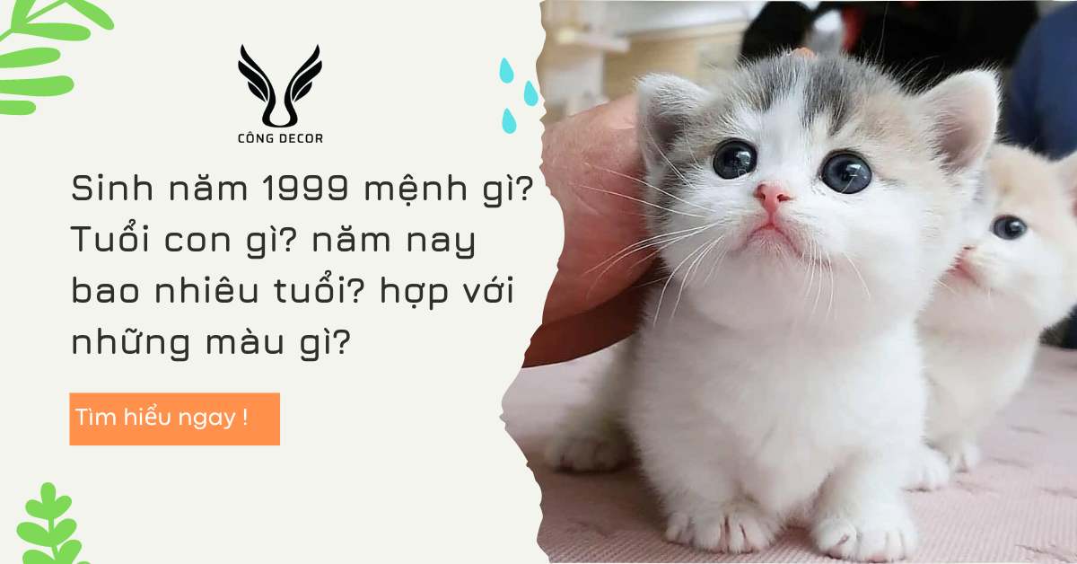 Sinh năm 1999 mệnh gì? Tuổi con gì? năm nay bao nhiêu tuổi? hợp với những màu gì?