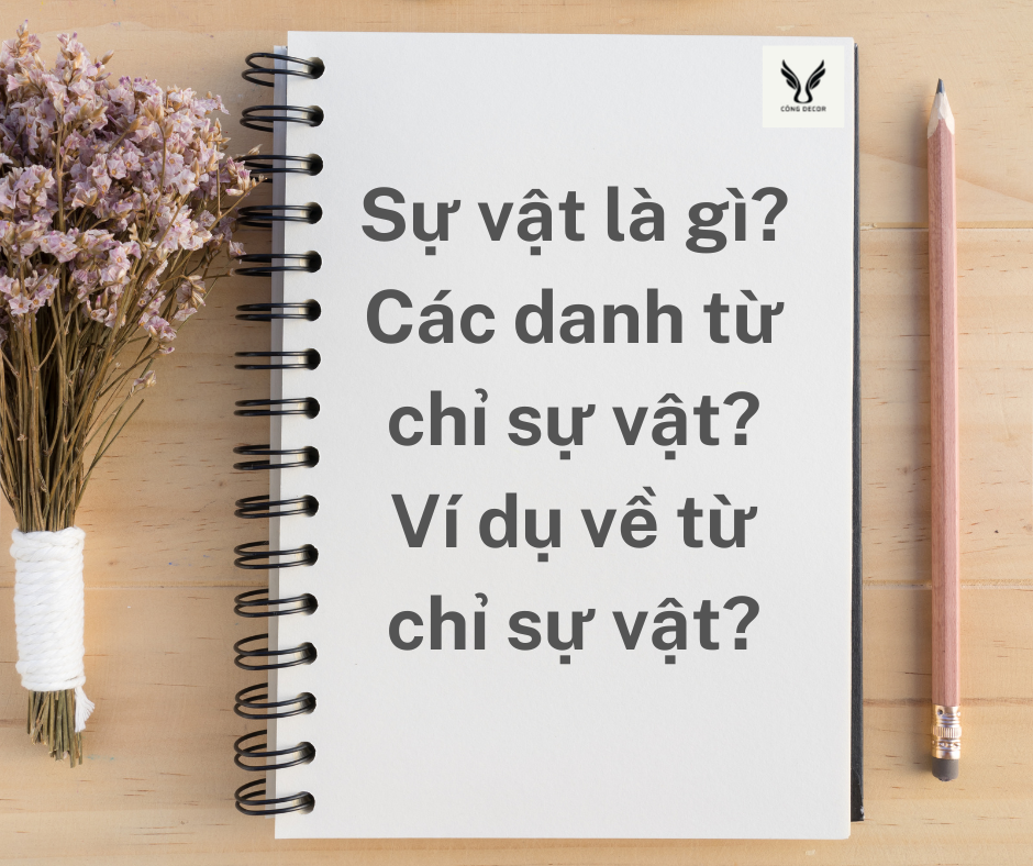 Sự vật là gì?