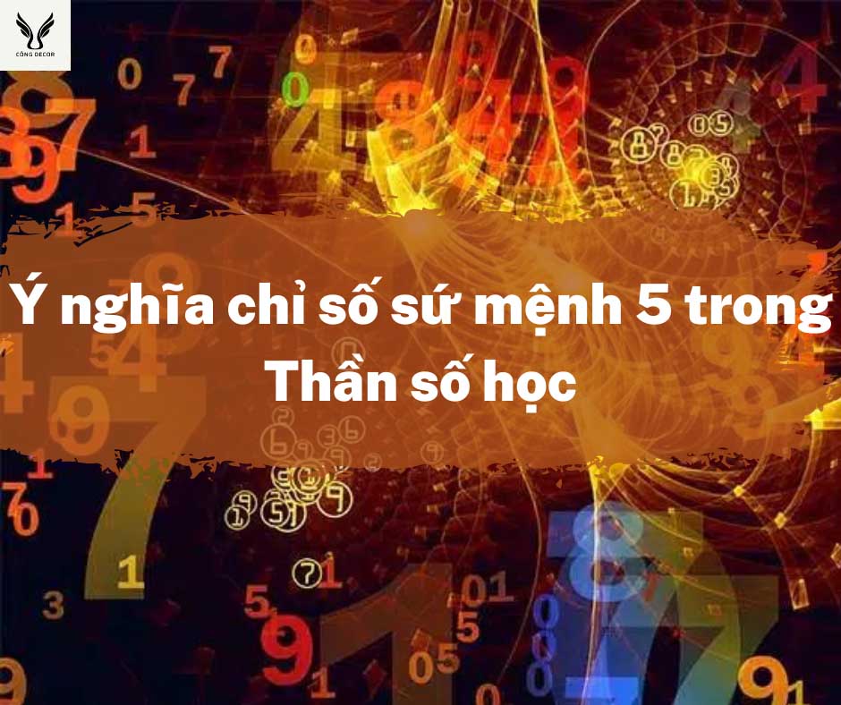 Ý nghĩa chỉ số sứ mệnh 5 trong Thần số học