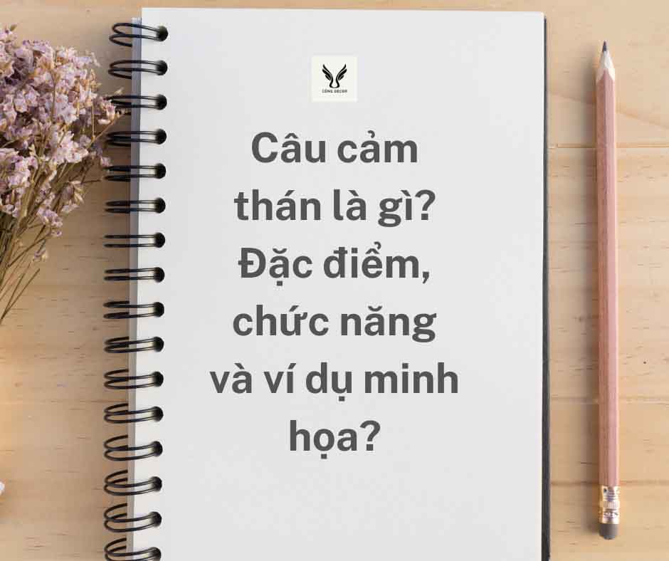 Câu cảm thán là gì? Đặc điểm, chức năng và ví dụ minh họa?