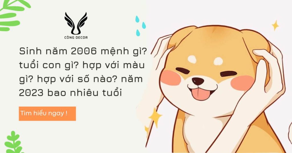 Sinh năm 2006 mệnh gì? tuổi con gì? hợp với màu gì? hợp với số nào? năm 2023 bao nhiêu tuổi