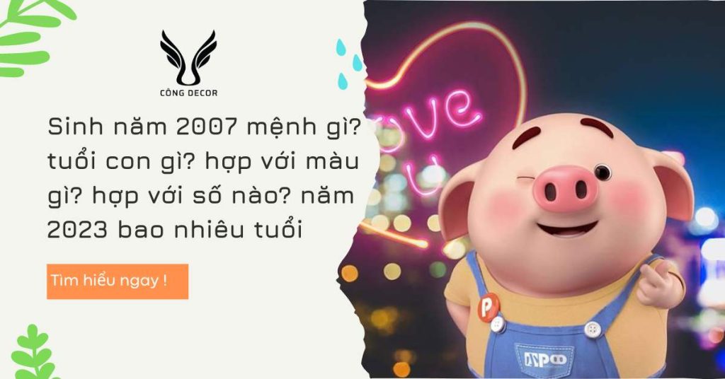 Sinh năm 2007 mệnh gì? tuổi con gì? hợp với màu gì? hợp với số nào? năm 2023 bao nhiêu tuổi